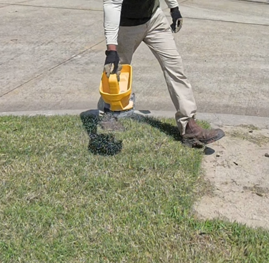 map[class:inset-0 object-[50%_50%] w-full h-full object-cover src:images/services-blog/overseeding-blog-hero.jpg]